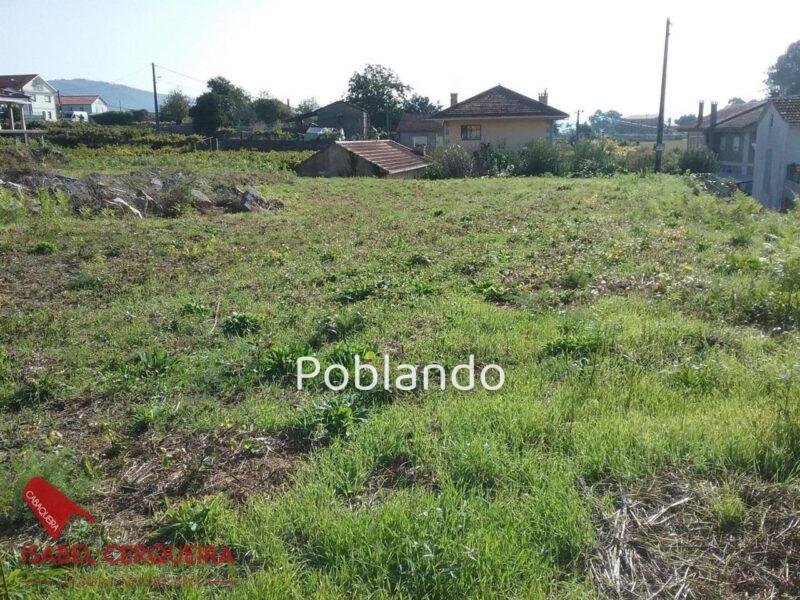 DOS PARCELAS EDIFICABLES EN O ROSAL – BAIXO MIÑO (GALICIA) – TOTAL DE 1468 m² — foto 2