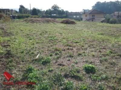 DOS PARCELAS EDIFICABLES EN O ROSAL - BAIXO MIÑO (GALICIA) - TOTAL DE 1468 m²
