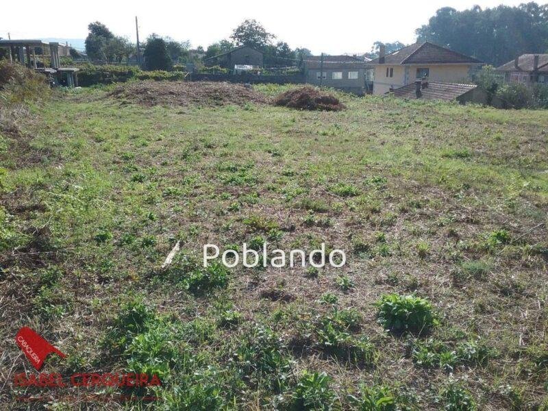 DOS PARCELAS EDIFICABLES EN O ROSAL – BAIXO MIÑO (GALICIA) – TOTAL DE 1468 m² — foto 4