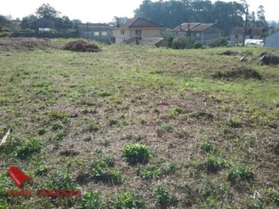 DOS PARCELAS EDIFICABLES EN O ROSAL - BAIXO MIÑO (GALICIA) - TOTAL DE 1468 m²