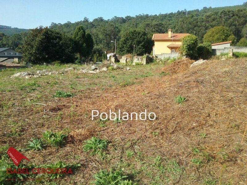 DOS PARCELAS EDIFICABLES EN O ROSAL – BAIXO MIÑO (GALICIA) – TOTAL DE 1468 m² — foto 6