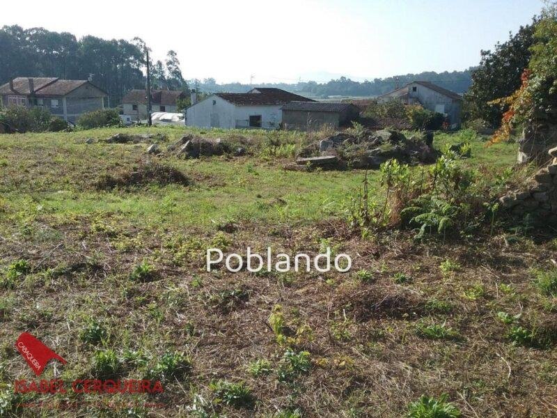 DOS PARCELAS EDIFICABLES EN O ROSAL - BAIXO MIÑO (GALICIA) - TOTAL DE 1468 m²