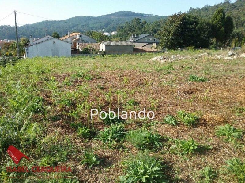 DOS PARCELAS EDIFICABLES EN O ROSAL – BAIXO MIÑO (GALICIA) – TOTAL DE 1468 m² — foto 7