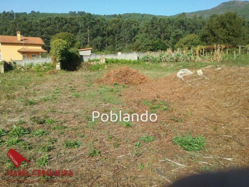 DOS PARCELAS EDIFICABLES EN O ROSAL – BAIXO MIÑO (GALICIA) – TOTAL DE 1468 m² — foto 9