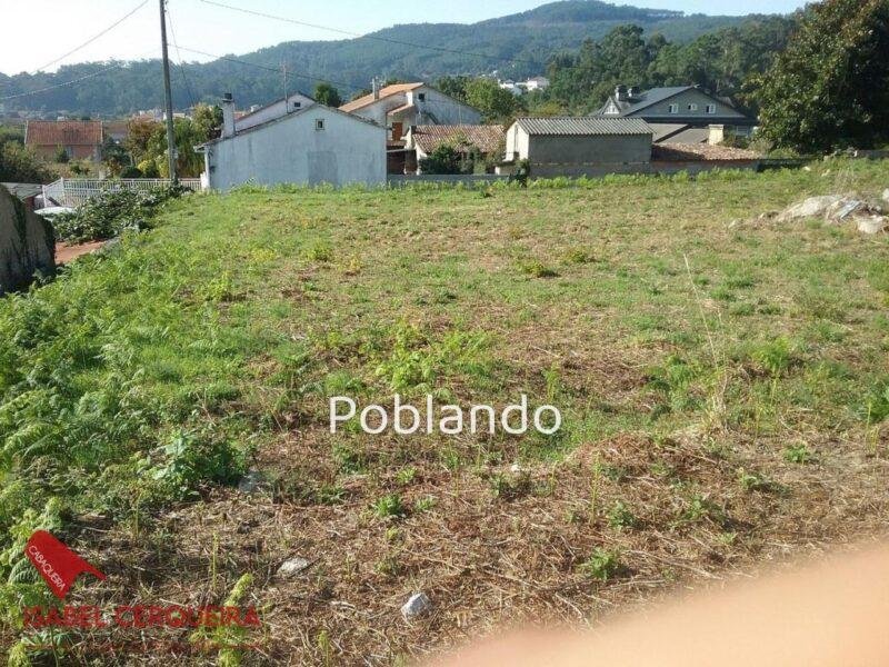 DOS PARCELAS EDIFICABLES EN O ROSAL – BAIXO MIÑO (GALICIA) – TOTAL DE 1468 m² — foto 10