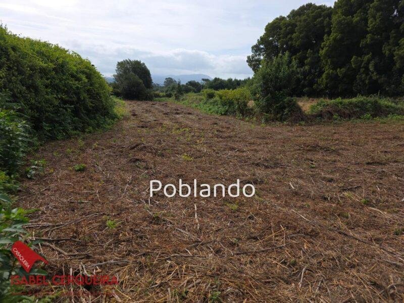 INVERSIÓN CON 2.500 m² EN A GUARDA | CASA DE PIEDRA CON GRAN POTENCIAL DE REVALORIZACIÓN — foto 6