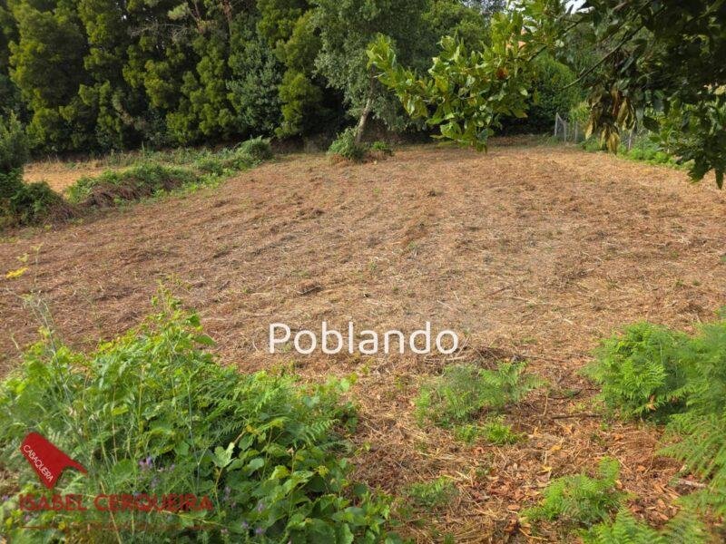 INVERSIÓN CON 2.500 m² EN A GUARDA | CASA DE PIEDRA CON GRAN POTENCIAL DE REVALORIZACIÓN — foto 8
