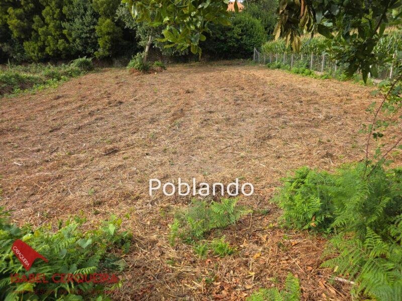 INVERSIÓN CON 2.500 m² EN A GUARDA | CASA DE PIEDRA CON GRAN POTENCIAL DE REVALORIZACIÓN — foto 9