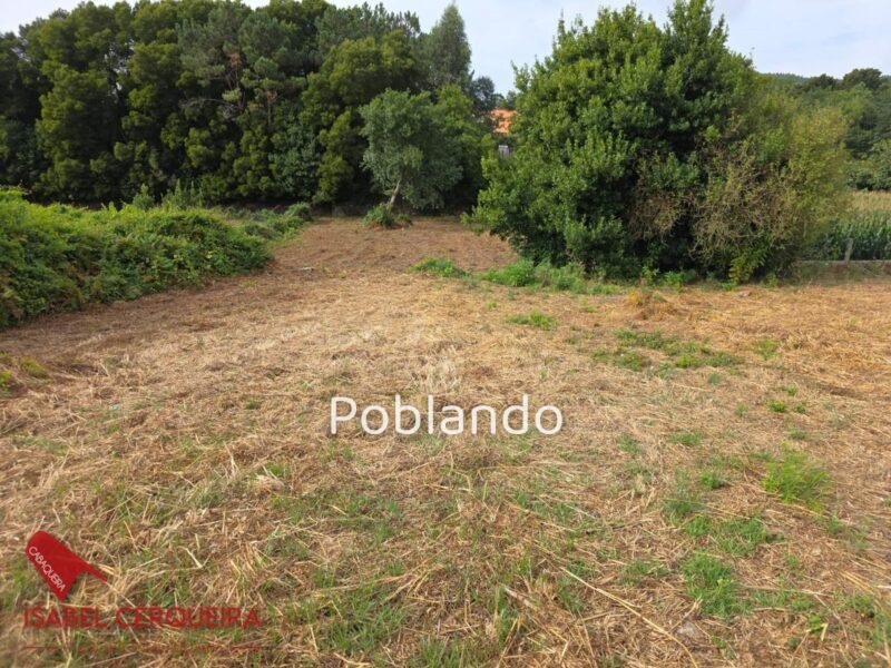 INVERSIÓN CON 2.500 m² EN A GUARDA | CASA DE PIEDRA CON GRAN POTENCIAL DE REVALORIZACIÓN — foto 11