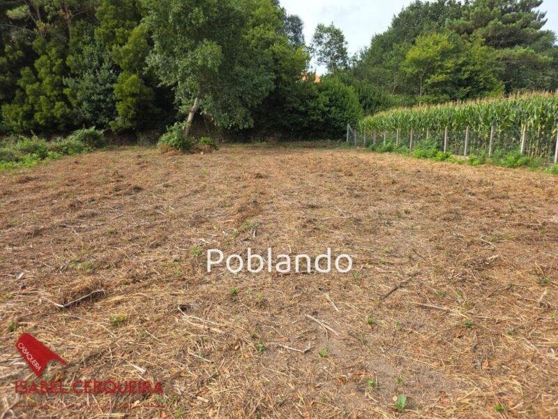 INVERSIÓN CON 2.500 m² EN A GUARDA | CASA DE PIEDRA CON GRAN POTENCIAL DE REVALORIZACIÓN — foto 17