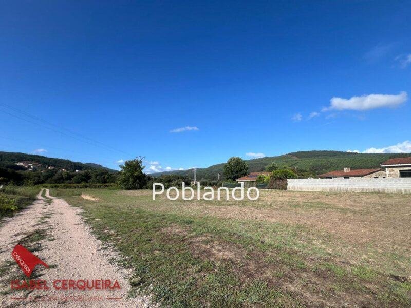 ¡OPORTUNIDAD EN O ROSAL! PARCELA EDIFICABLE DE 1.462 m², LLANA Y A 1 MINUTO DEL CENTRO – 57.000 € — foto 5