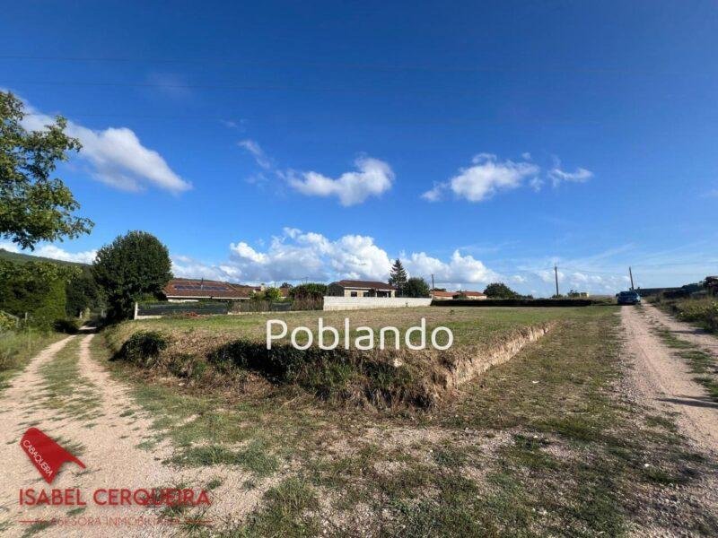 ¡OPORTUNIDAD EN O ROSAL! PARCELA EDIFICABLE DE 1.462 m², LLANA Y A 1 MINUTO DEL CENTRO – 57.000 € — foto 6