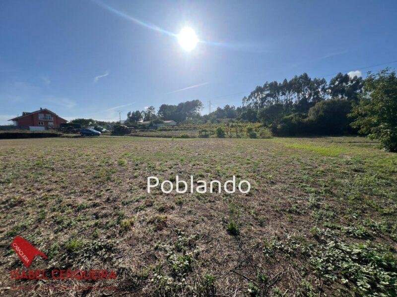 ¡OPORTUNIDAD EN O ROSAL! PARCELA EDIFICABLE DE 1.462 m², LLANA Y A 1 MINUTO DEL CENTRO - 57.000 €