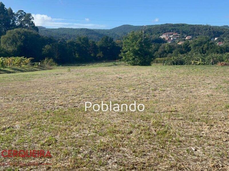 ¡OPORTUNIDAD EN O ROSAL! PARCELA EDIFICABLE DE 1.462 m², LLANA Y A 1 MINUTO DEL CENTRO – 57.000 € — foto 8