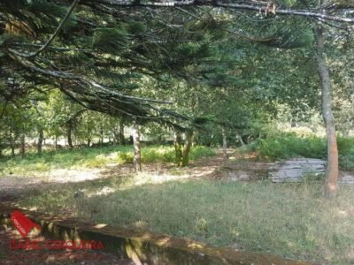 OPORTUNIDAD ÚNICA EN TOMIÑO | CASONA DE 1856 A REFORMAR · 462 M² · HASTA 9.420 M² DE FINCA