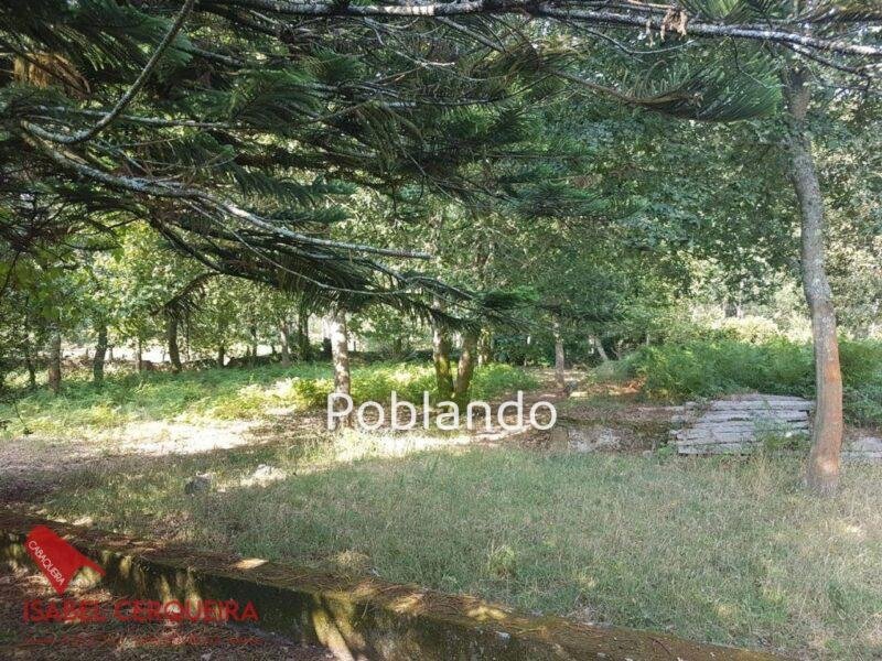 CASONA DE 1856 A REFORMAR · 462 M² · 9.420 M² DE FINCA — foto 30