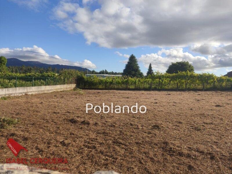 ¡CONSTRUYE TU CASA! | TERRENO URBANO DE 1.201 M² EN TOMIÑO | 500 M² DE SUPERFICIE URBANIZABLE