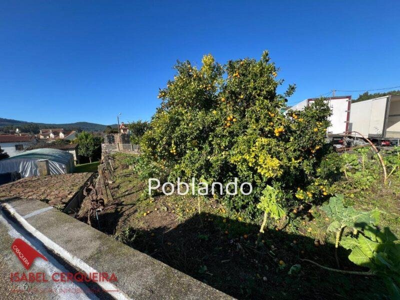 O ROSAL | CASA PARA REFORMAR + 534 m² DE PARCELA | CREA TU PROPIO PROYECTO EN EL BAIXO MIÑO — foto 22