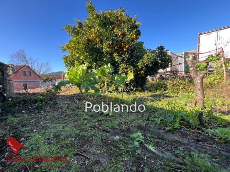O ROSAL | CASA PARA REFORMAR + 534 m² DE PARCELA | CREA TU PROPIO PROYECTO EN EL BAIXO MIÑO — foto 23