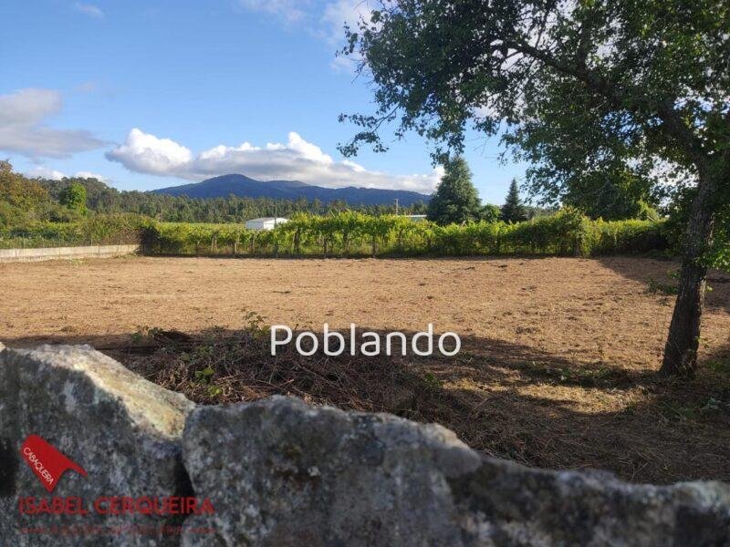 ¡CONSTRUYE TU CASA! | TERRENO URBANO DE 1.201 M² EN TOMIÑO | 500 M² DE SUPERFICIE URBANIZABLE