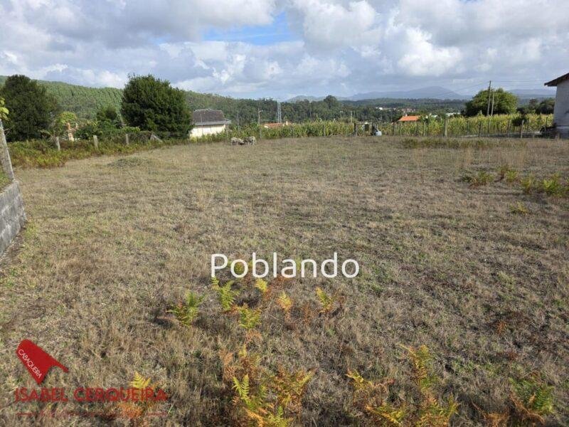 GRAN OPORTUNIDAD EN O ROSAL | 1.129 m² + 350 m² EDIFICABLES