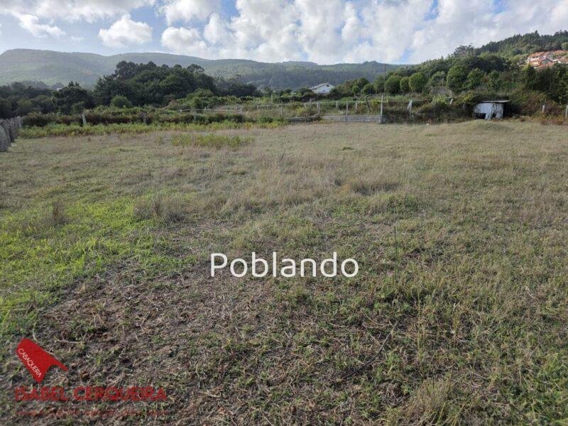 GRAN OPORTUNIDAD EN O ROSAL | 1.129 m² + 350 m² EDIFICABLES
