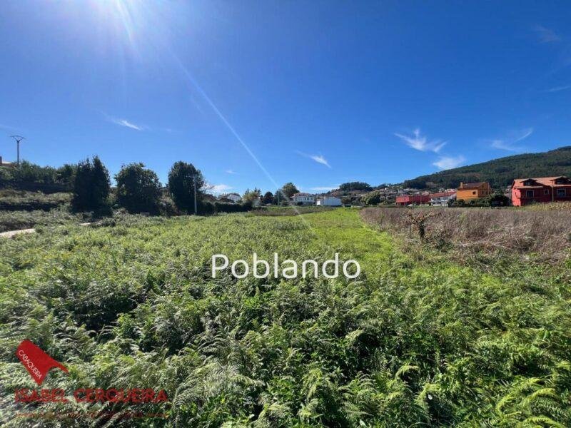 GRAN OPORTUNIDAD EN A GUARDA · 2.203 m² DE TERRENO CON 1.000 m² EDIFICABLES — foto 1