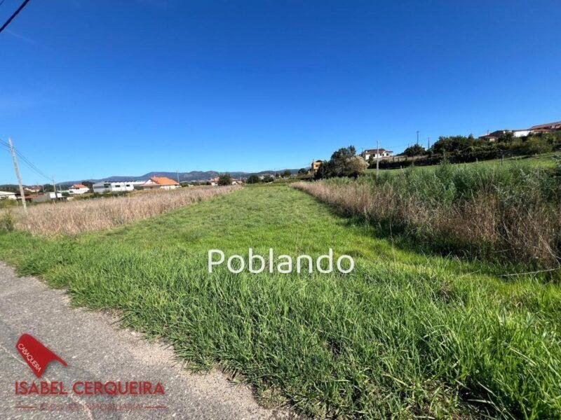 GRAN OPORTUNIDAD EN A GUARDA · 2.203 m² DE TERRENO CON 1.000 m² EDIFICABLES — foto 5