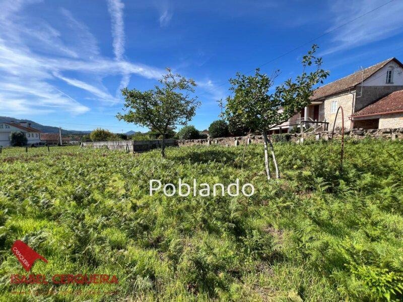 CASA SEÑORIAL DE PIEDRA · 5.267 m² DE FINCA · POSIBILIDADES DE EDIFICACIÓN | FORCADELA · TOMIÑO — foto 32