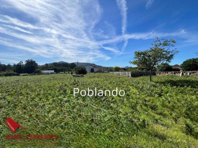 CASA SEÑORIAL DE PIEDRA · 5.267 m² DE FINCA · POSIBILIDADES DE EDIFICACIÓN | FORCADELA · TOMIÑO — foto 31