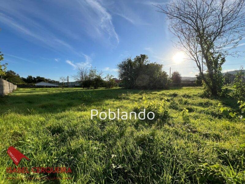 EXCLUSIVA | 1.449 m² EN EL NÚCLEO URBANO DE GOIÁN · APROX. 1.000 m² EDIFICABLES — foto 8