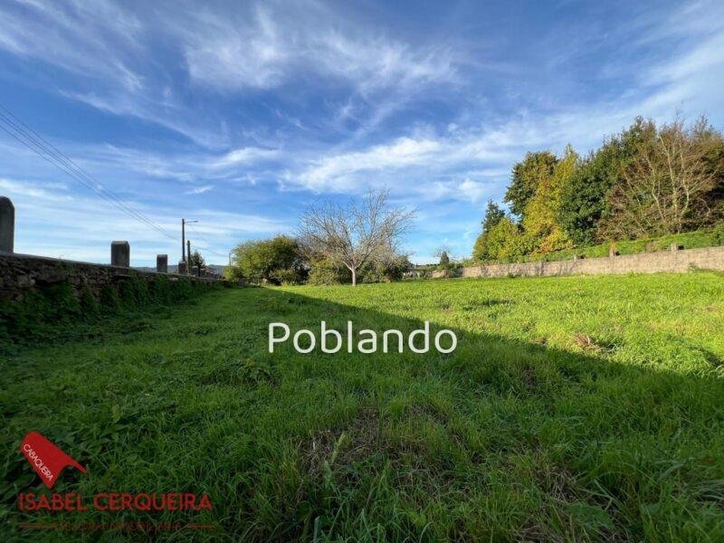 EXCLUSIVA | 1.449 m² EN EL NÚCLEO URBANO DE GOIÁN · APROX. 1.000 m² EDIFICABLES — foto 10