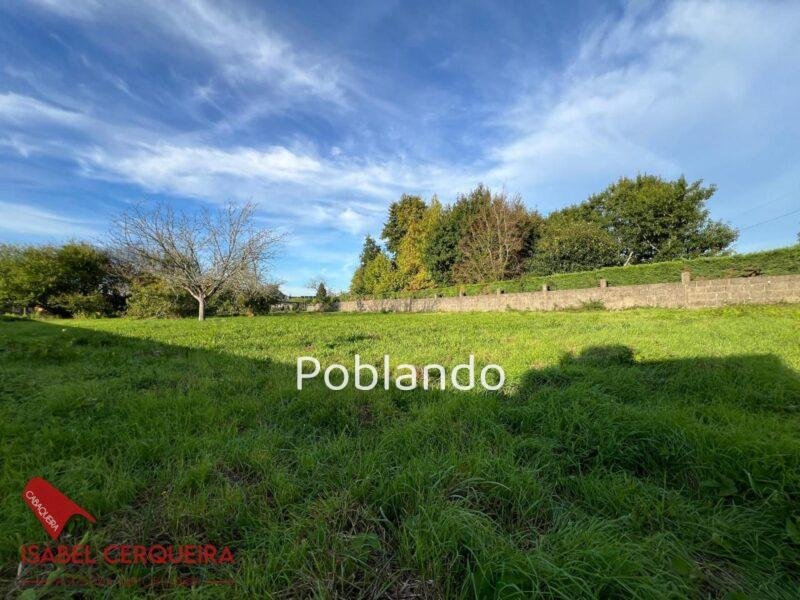 EXCLUSIVA | 1.449 m² EN EL NÚCLEO URBANO DE GOIÁN · APROX. 1.000 m² EDIFICABLES — foto 11