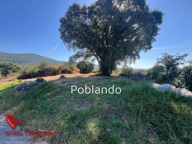 PARCELA DE 635 M² CON 240 M² EDIFICABLES EN O ROSAL – SOLEADA Y CON TODOS LOS SERVICIOS A PIE DE CALLE — foto 1