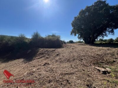 TU PROYECTO DE CASA EN EL BAIXO MIÑO · 635 m² EN O ROSAL