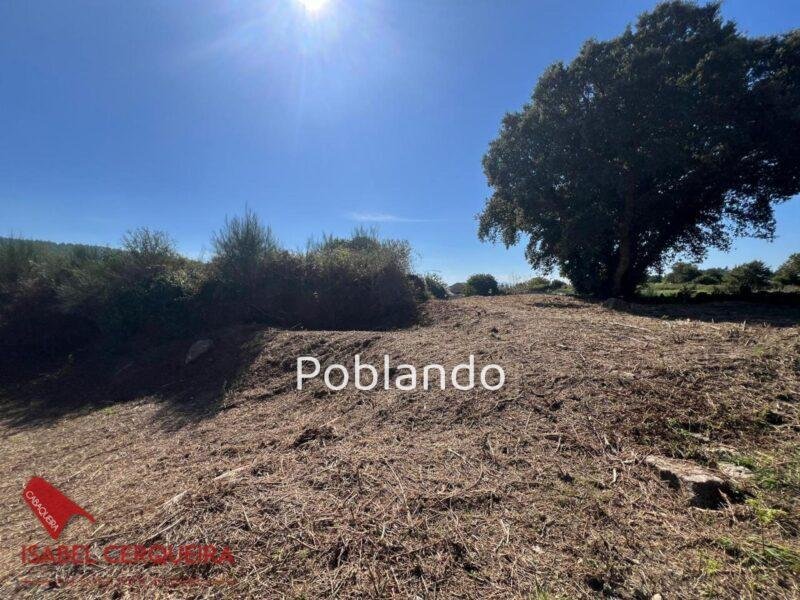 PARCELA DE 635 M² CON 240 M² EDIFICABLES EN O ROSAL – SOLEADA Y CON TODOS LOS SERVICIOS A PIE DE CALLE — foto 3