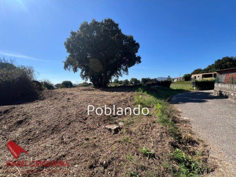 PARCELA DE 635 M² CON 240 M² EDIFICABLES EN O ROSAL – SOLEADA Y CON TODOS LOS SERVICIOS A PIE DE CALLE — foto 2