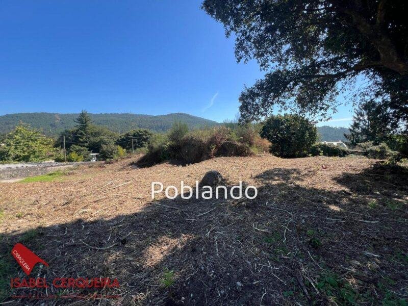 PARCELA DE 635 M² CON 240 M² EDIFICABLES EN O ROSAL – SOLEADA Y CON TODOS LOS SERVICIOS A PIE DE CALLE — foto 5