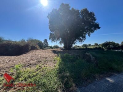 TU PROYECTO DE CASA EN EL BAIXO MIÑO · 635 m² EN O ROSAL