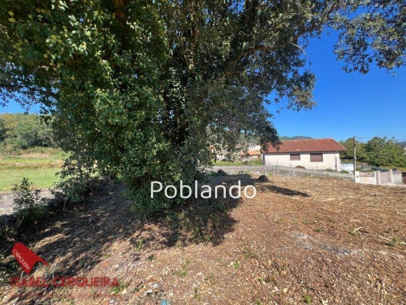 PARCELA DE 635 M² CON 240 M² EDIFICABLES EN O ROSAL – SOLEADA Y CON TODOS LOS SERVICIOS A PIE DE CALLE — foto 14