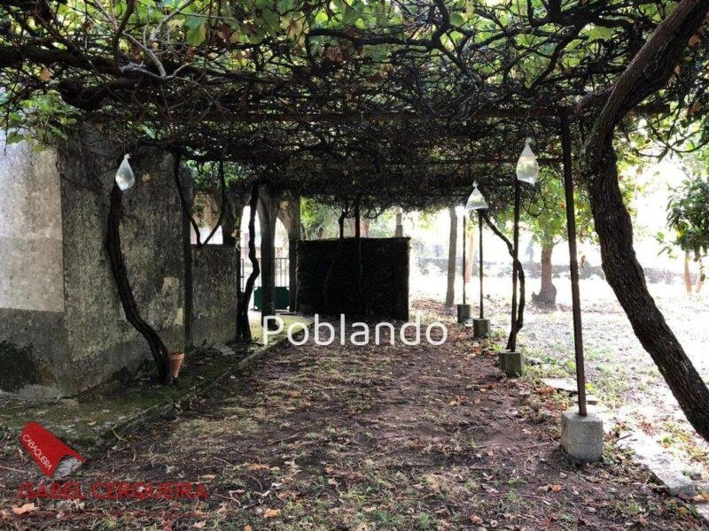 CASONA DE 1856 A REFORMAR · 462 M² · 9.420 M² DE FINCA — foto 34