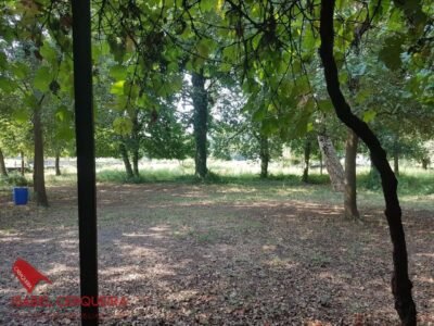 OPORTUNIDAD ÚNICA EN TOMIÑO | CASONA DE 1856 A REFORMAR · 462 M² · HASTA 9.420 M² DE FINCA
