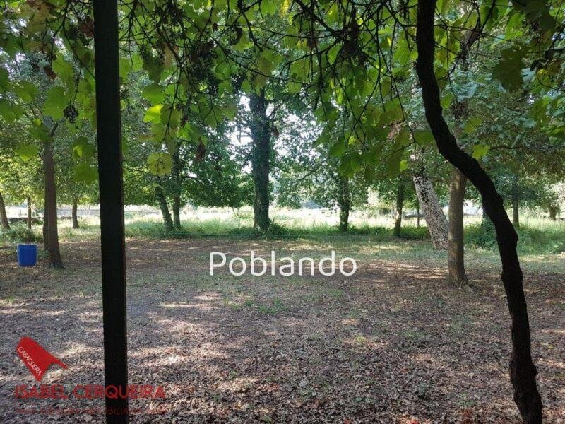 CASONA DE 1856 A REFORMAR · 462 M² · 9.420 M² DE FINCA — foto 35