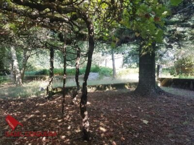 OPORTUNIDAD ÚNICA EN TOMIÑO | CASONA DE 1856 A REFORMAR · 462 M² · HASTA 9.420 M² DE FINCA