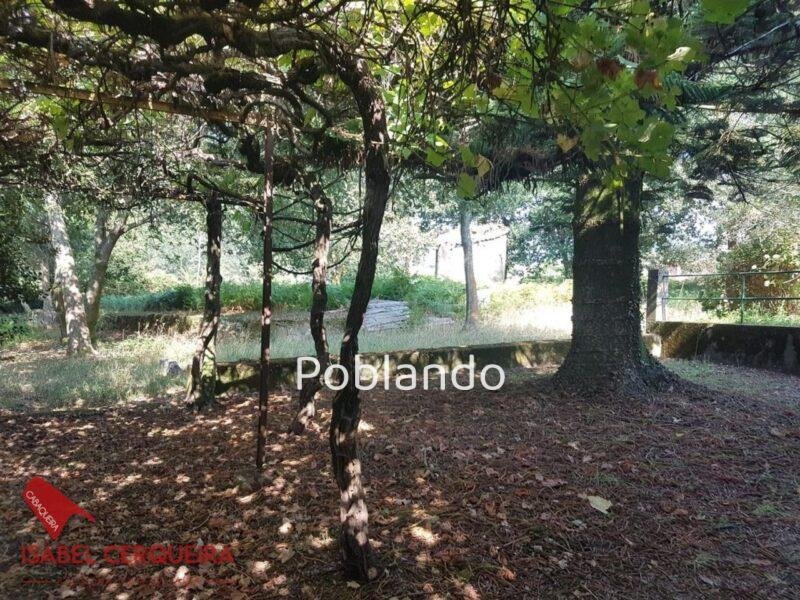 CASONA DE 1856 A REFORMAR · 462 M² · 9.420 M² DE FINCA — foto 36