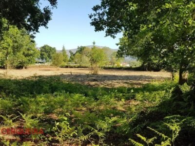 OPORTUNIDAD ÚNICA EN TOMIÑO | CASONA DE 1856 A REFORMAR · 462 M² · HASTA 9.420 M² DE FINCA