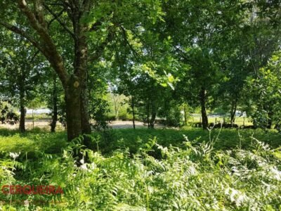 OPORTUNIDAD ÚNICA EN TOMIÑO | CASONA DE 1856 A REFORMAR · 462 M² · HASTA 9.420 M² DE FINCA