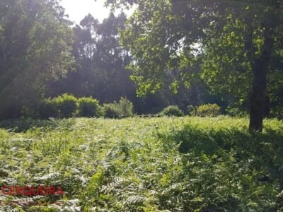 OPORTUNIDAD ÚNICA EN TOMIÑO | CASONA DE 1856 A REFORMAR · 462 M² · HASTA 9.420 M² DE FINCA