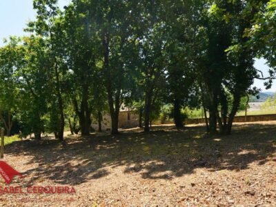 FINCA DE PIEDRA EXCLUSIVA EN O ROSAL - VISTAS PANORÁMICAS AL RÍO MIÑO Y PORTUGAL