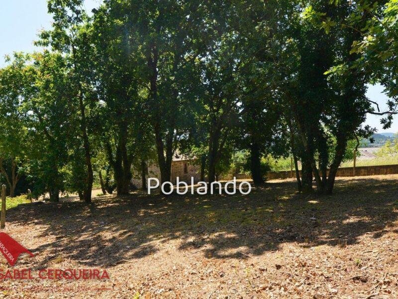 FINCA DE PIEDRA EXCLUSIVA EN O ROSAL - VISTAS PANORÁMICAS AL RÍO MIÑO Y PORTUGAL